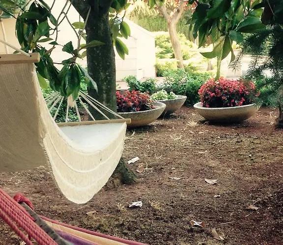 Brunone Casa de Campo *